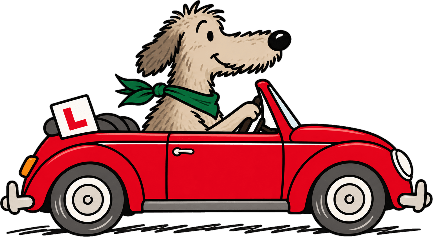 A shaggy dog in a green bandana driving a red convertible with an L-plate